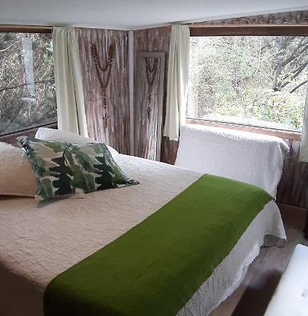 Eco Cabana Пуерто-Варас Екстер'єр фото