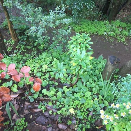 Eco Cabana Пуерто-Варас Екстер'єр фото