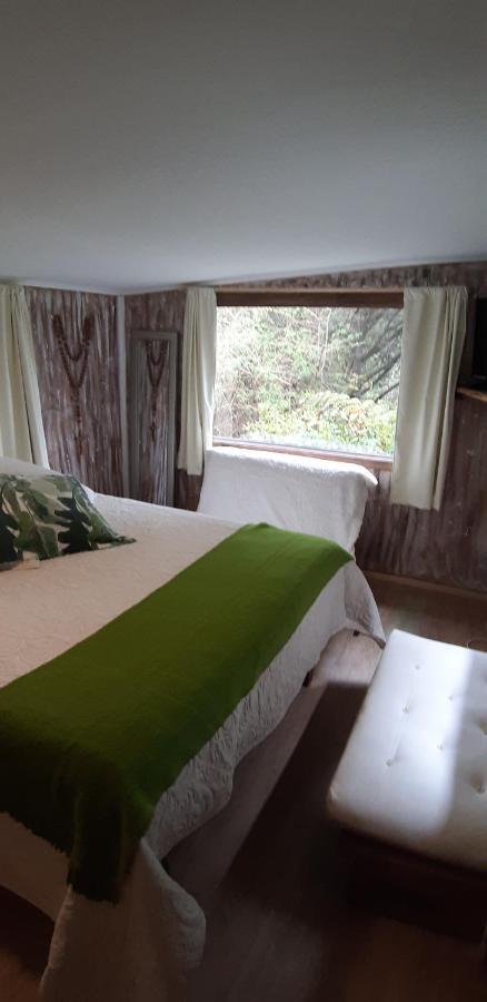 Eco Cabana Пуерто-Варас Екстер'єр фото