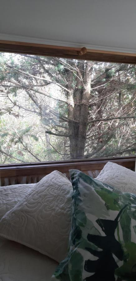 Eco Cabana Пуерто-Варас Екстер'єр фото